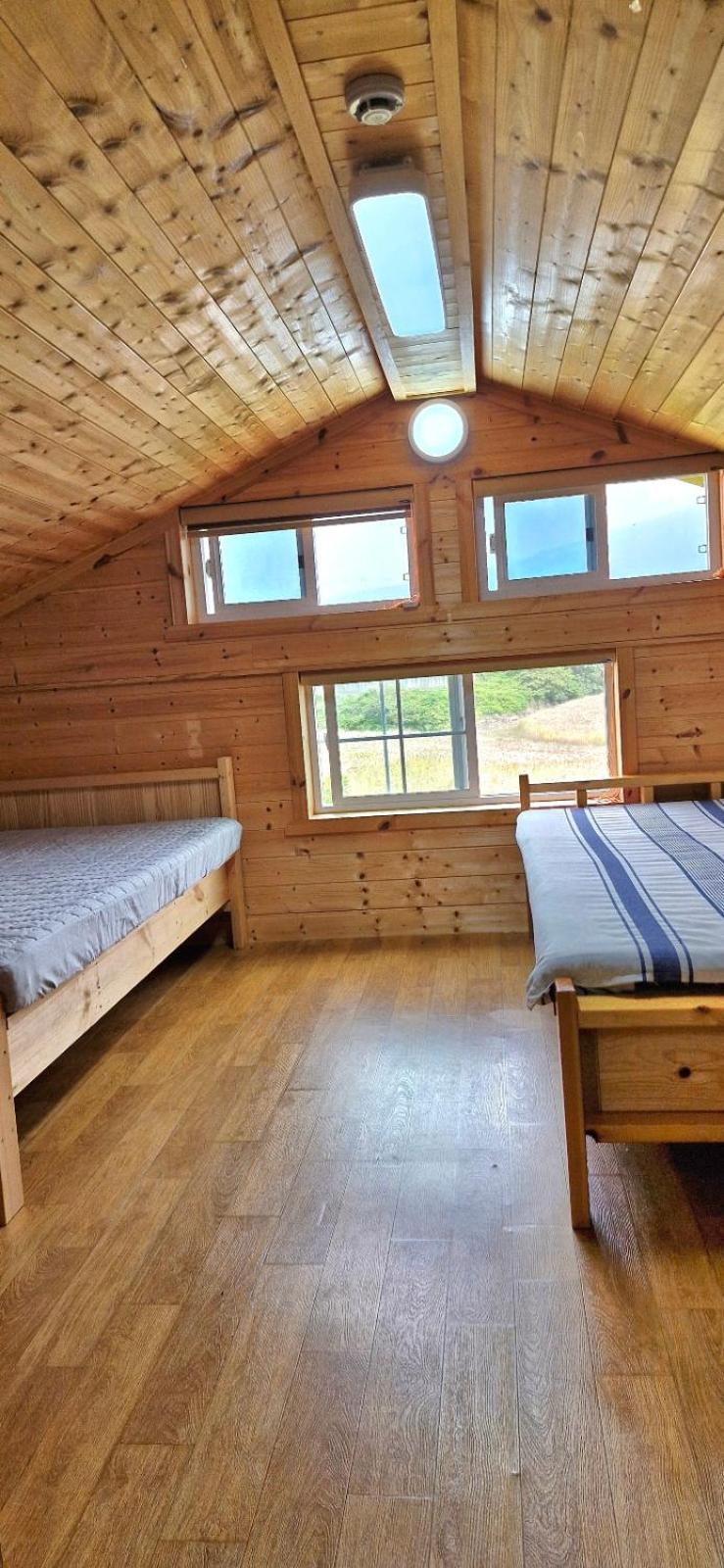 Tree House Guesthouse Jeju Dış mekan fotoğraf